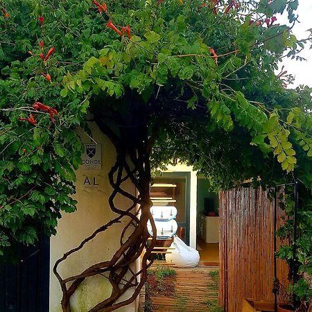 Conde Surf Camp - Junto Ao Mar - Entire Pvt House Villa Vila do Conde Ngoại thất bức ảnh